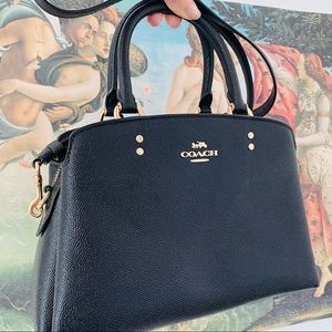 coach mini lillie carryall